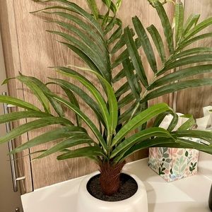 Faux Palm plant